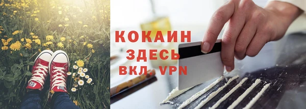 дмт Гусь-Хрустальный