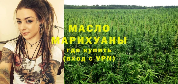 дмт Гусь-Хрустальный
