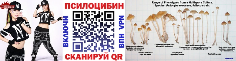 Псилоцибиновые грибы Cubensis  Купить закладки  Клинцы 