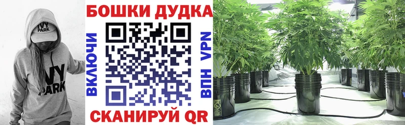 Купить  Клинцы  Бошки марихуана ГИДРОПОН 